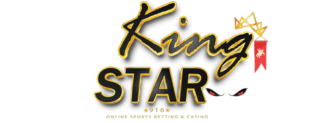 KINGSTAR916 logo